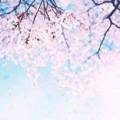 伊朗发动第78波攻势：主力部队尚未投入战场，特朗普的心理战已被戳穿，伊朗已准备了“惊喜行动”